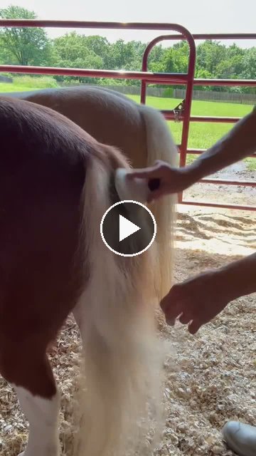 Video — July 2 2026