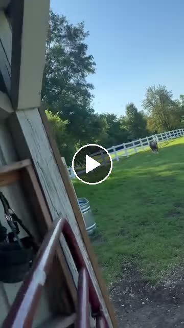 Video — June 17 2026