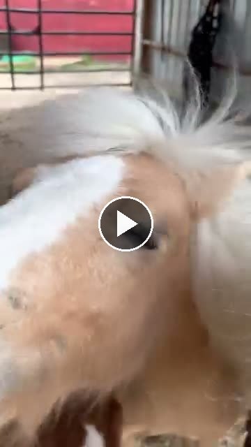 Video — May 15 2026