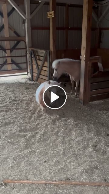 Video — May 22 2026
