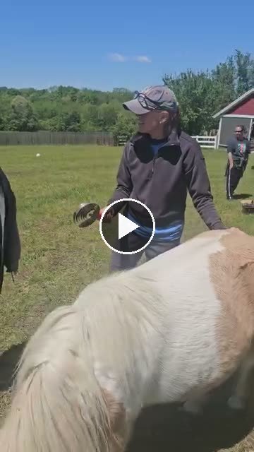 Video — May 1 2026