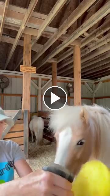 Video — July 2 2026