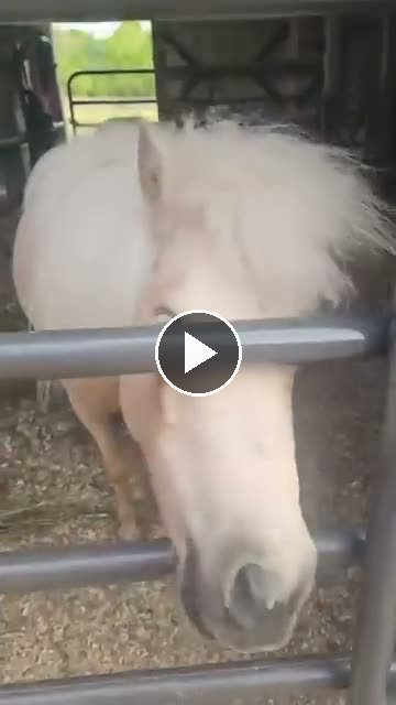 Video — May 5 2026