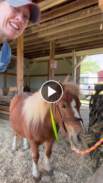 Video — May 2 2026