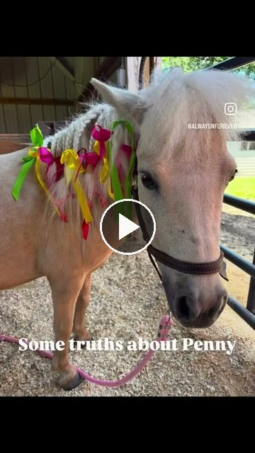 Video — August 1 2026