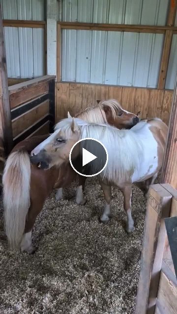 Video — July 18 2026