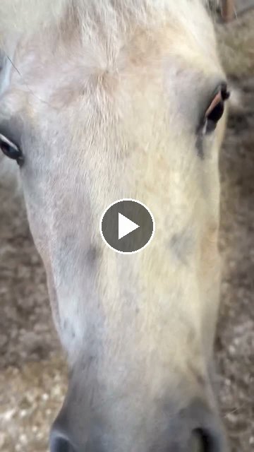 Video — July 24 2026
