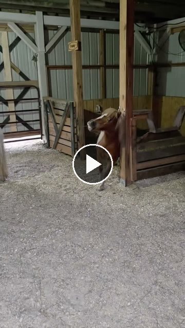 Video — May 22 2026