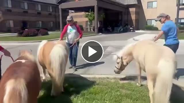 Video — May 11 2026