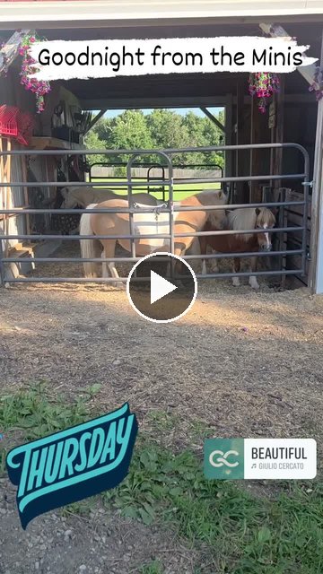 Video — July 10 2026