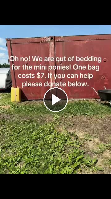 Video — June 25 2026