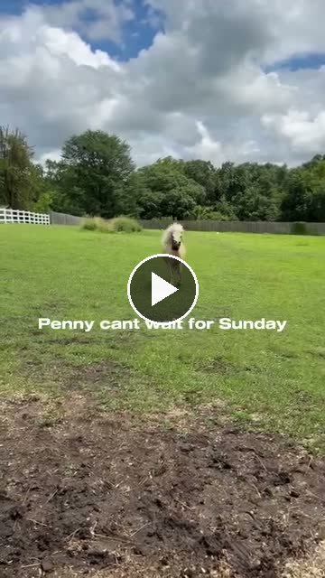 Video — June 26 2026