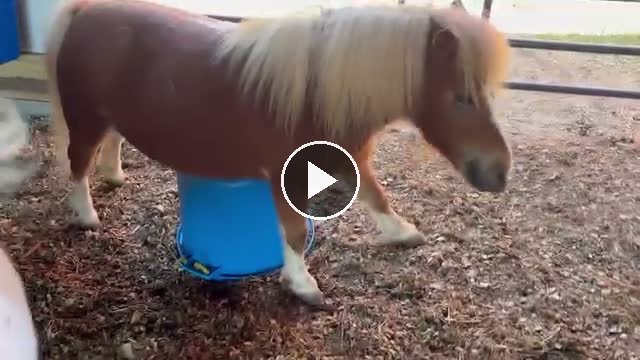 Video — May 15 2026
