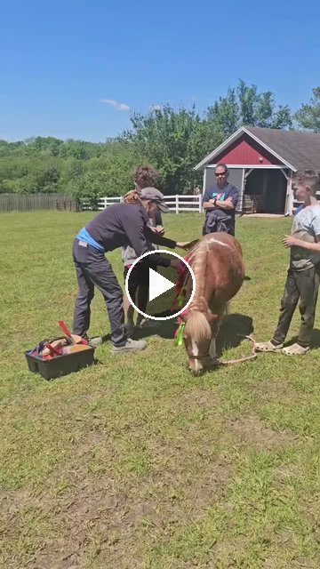 Video — May 1 2026