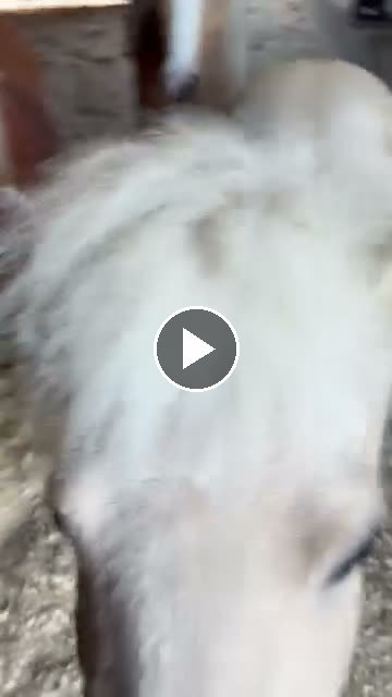 Video — May 12 2026