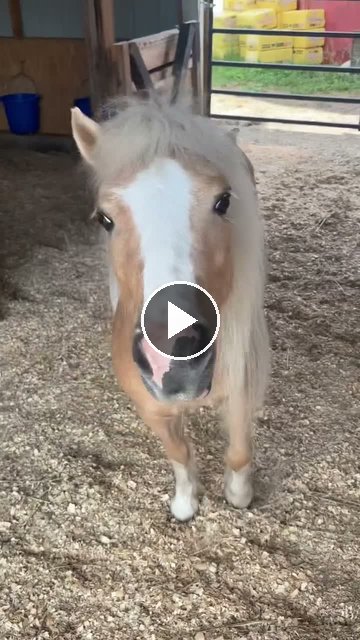 Video — May 23 2026