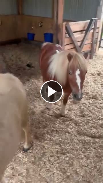 Video — June 21 2026