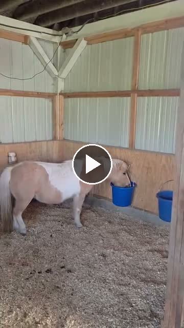 Video — May 9 2026