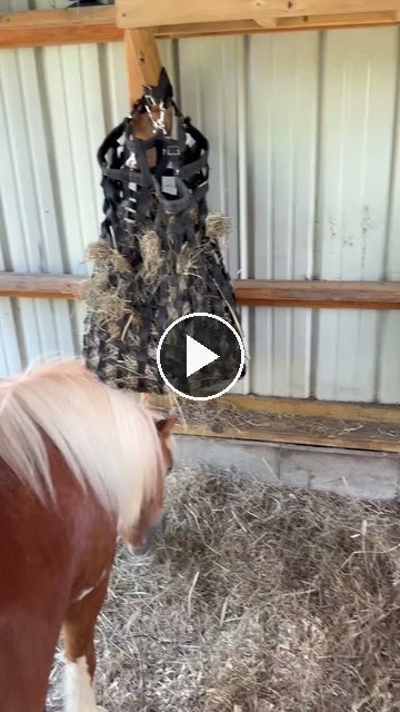 Video — July 17 2026