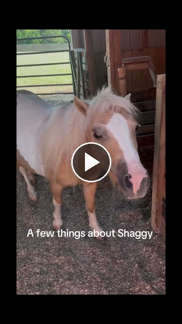 Video — July 26 2026