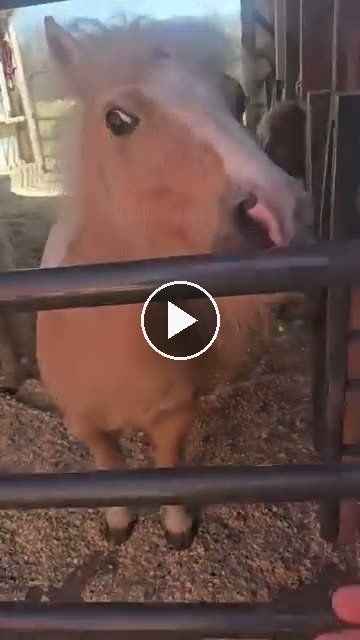 Video — May 6 2026