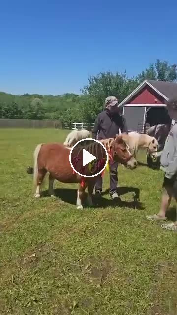 Video — May 1 2026