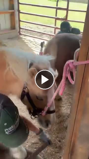 Video — May 6 2026