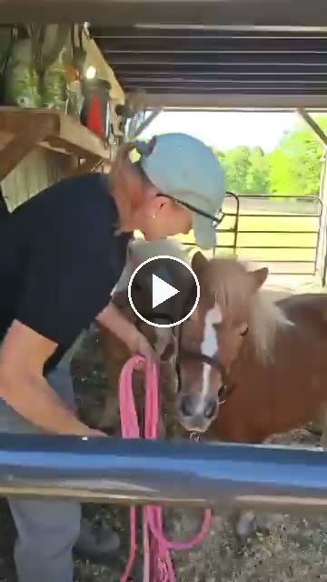 Video — May 12 2026