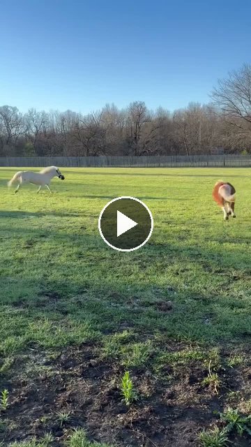 Video — May 3 2026