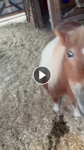 Video — May 6 2026