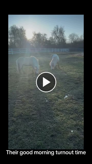 Video — May 23 2026