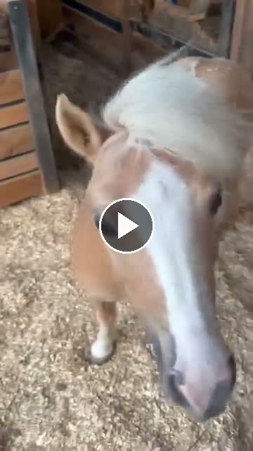 Video — June 10 2026