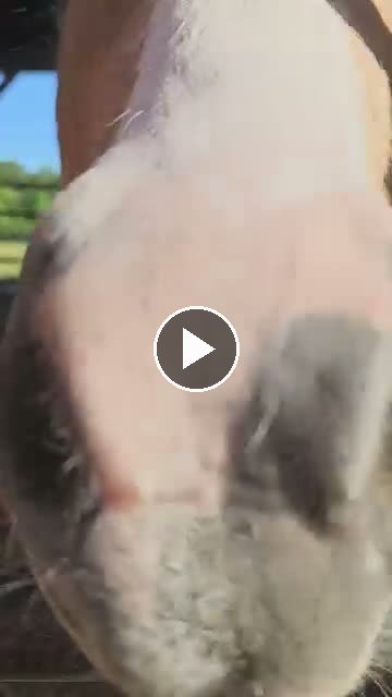 Video — May 13 2026